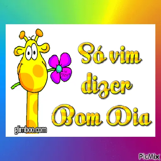 Bom dia e bom feriado 11