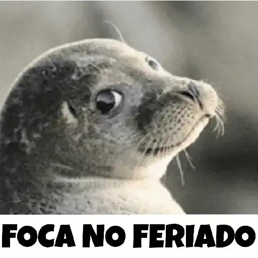 Bom dia e bom feriado 28