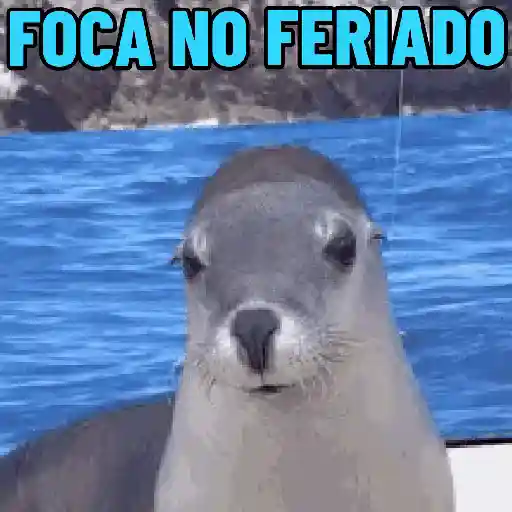 Bom dia e bom feriado 2