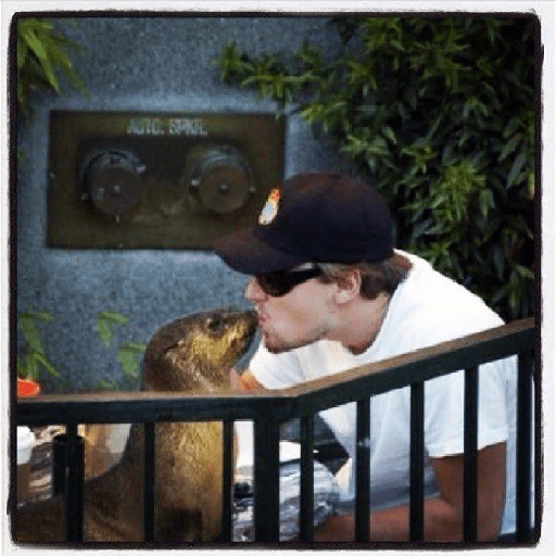 Leonardo Dicaprio 2 18