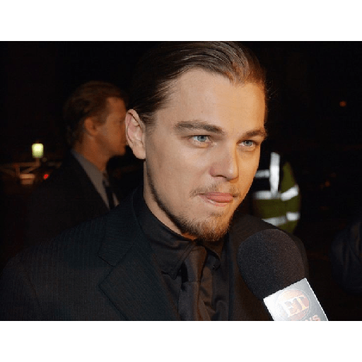Leonardo Dicaprio 2 17