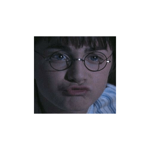 Memes de Harry Potter 30
