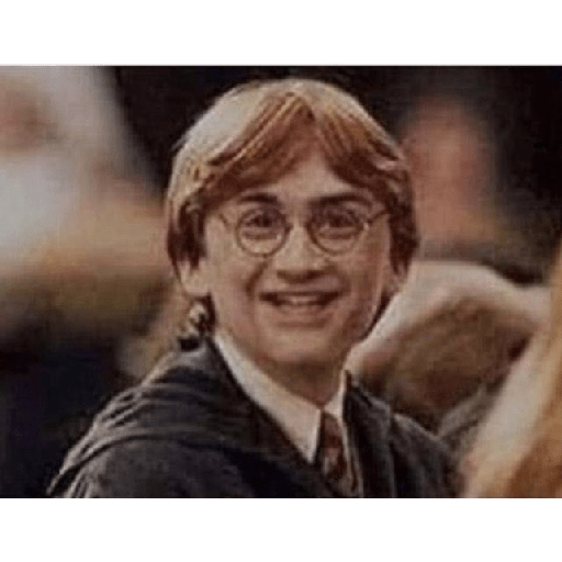Memes de Harry Potter 28
