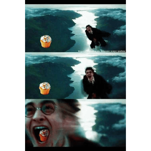 Memes de Harry Potter 18