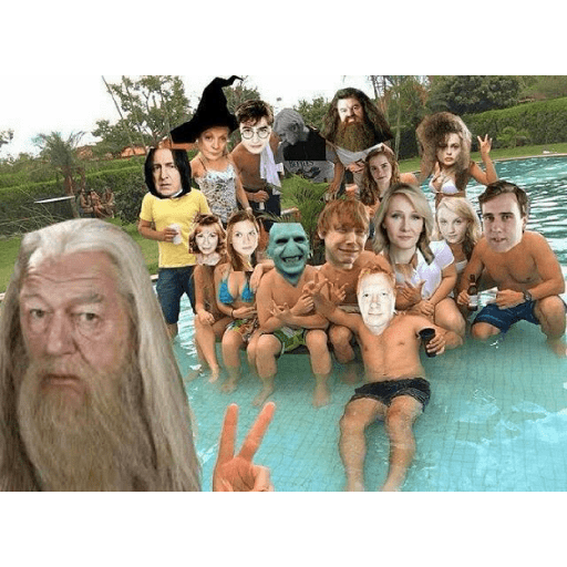 Memes de Harry Potter 7