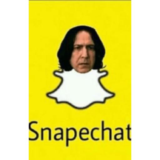 Memes de Harry Potter 13