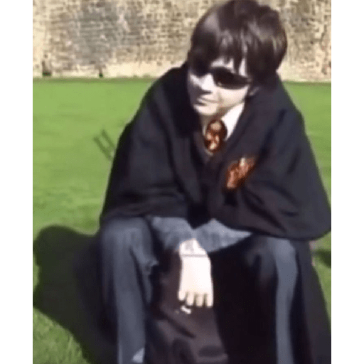 Memes de Harry Potter 24