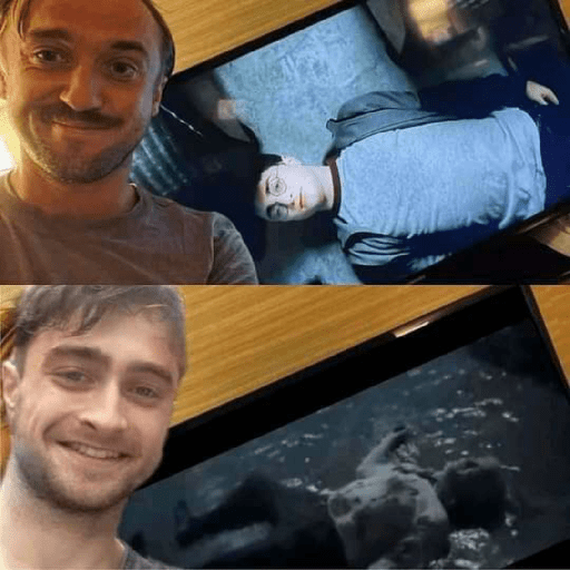 Memes de Harry Potter 17
