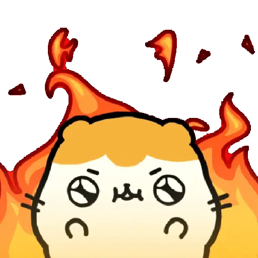Hamiboom trabalho 6
