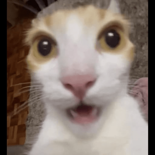 ... 4