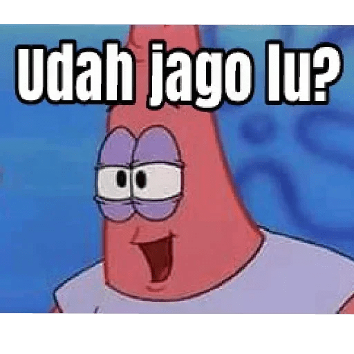 Meme Petrik 8