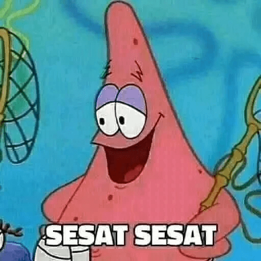 Meme Petrik 17