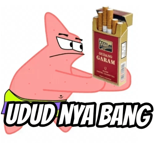 Meme Petrik 16