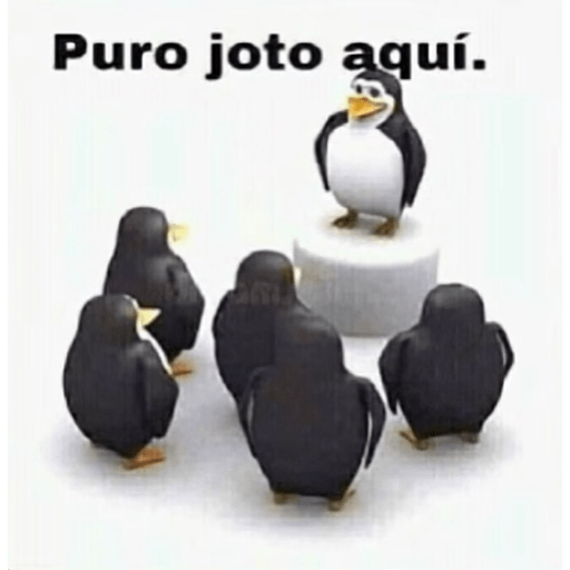 Imda1whoknocks  5