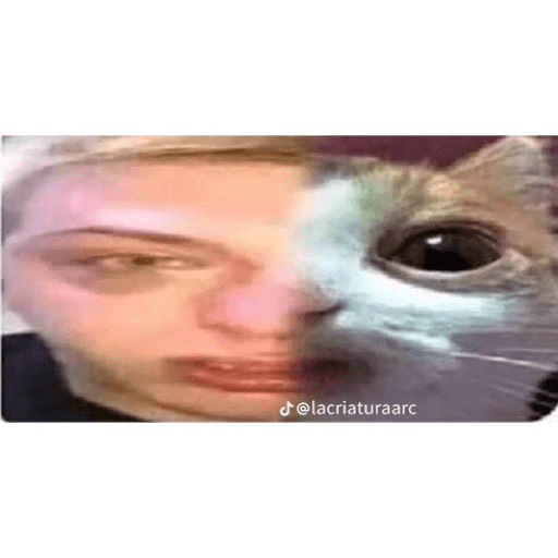 Imda1whoknocks  15