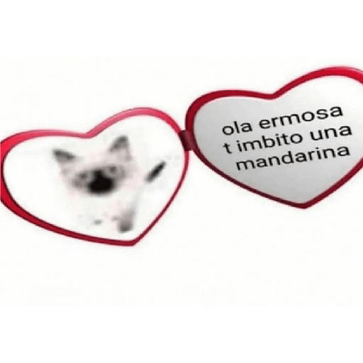 ♡︎si 11
