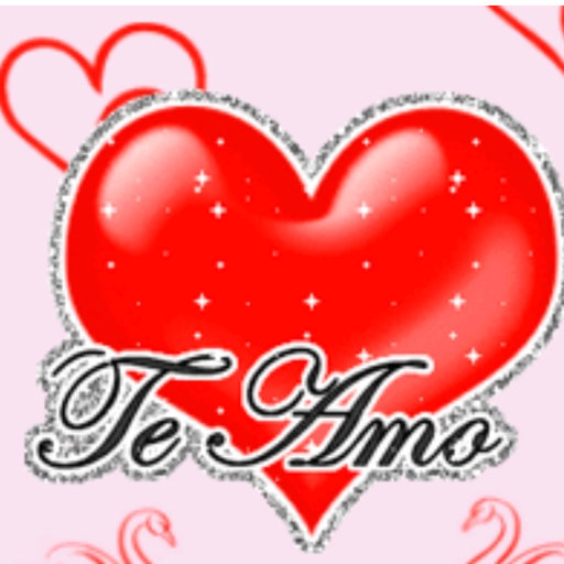 FOFO 11
