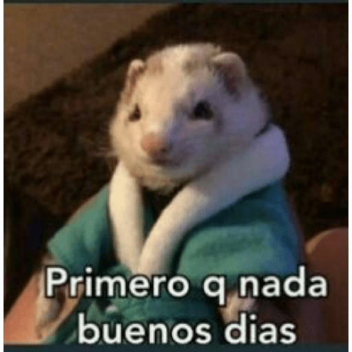 Rjlj 2