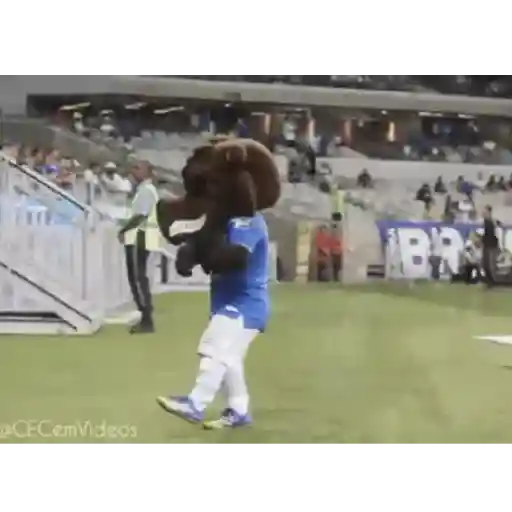 Cruzeiro 13