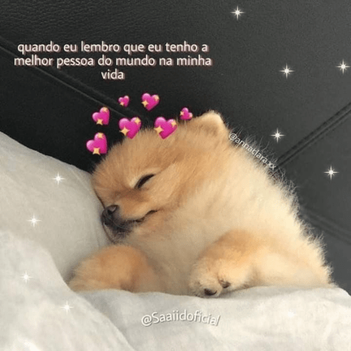 Fofinhos 28