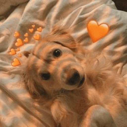 Fofinhos 5