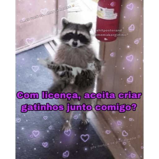 Fofinhos 29