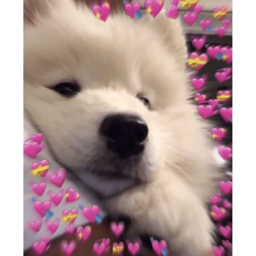 Fofinhos 9