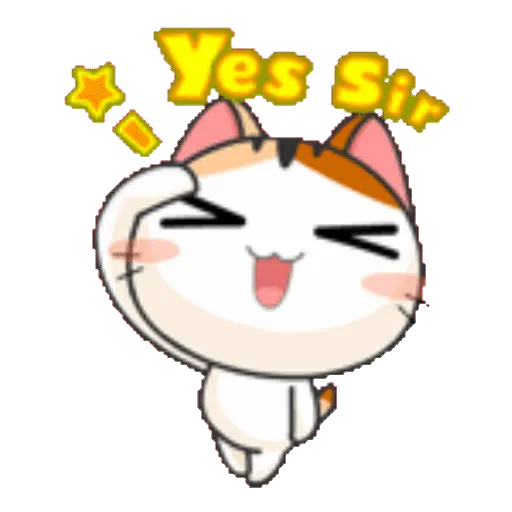 Gato anime 11