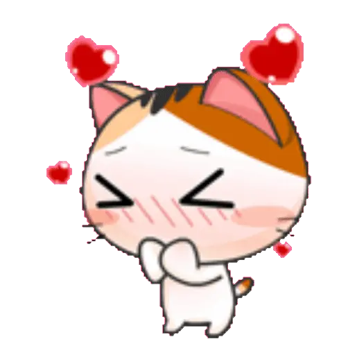 Gato anime 5
