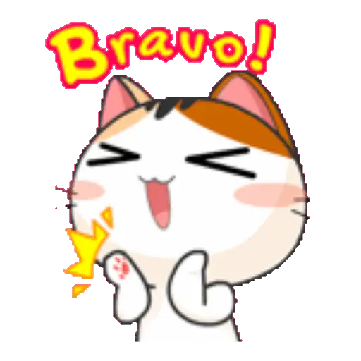 Gato anime 8