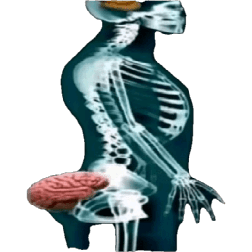 Emojis 3D 23