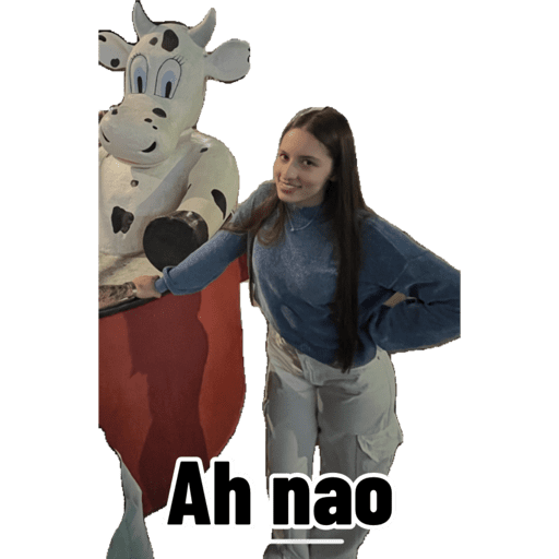 Minhas figurinhas