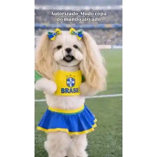 Ginástica  12