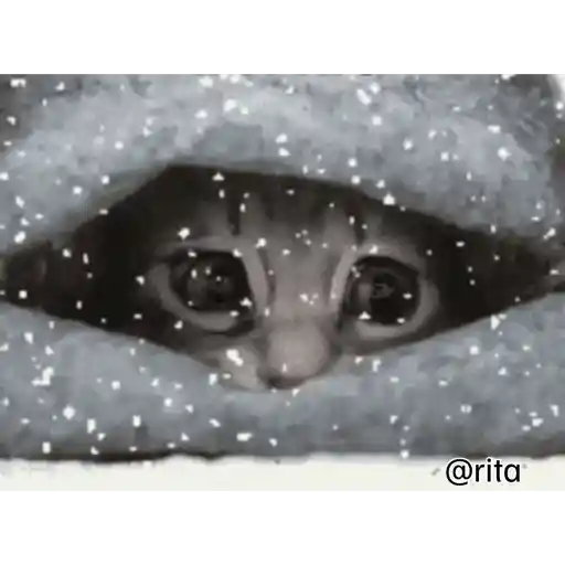 Ginástica  20