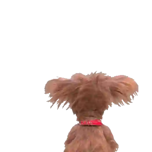Ginástica  15