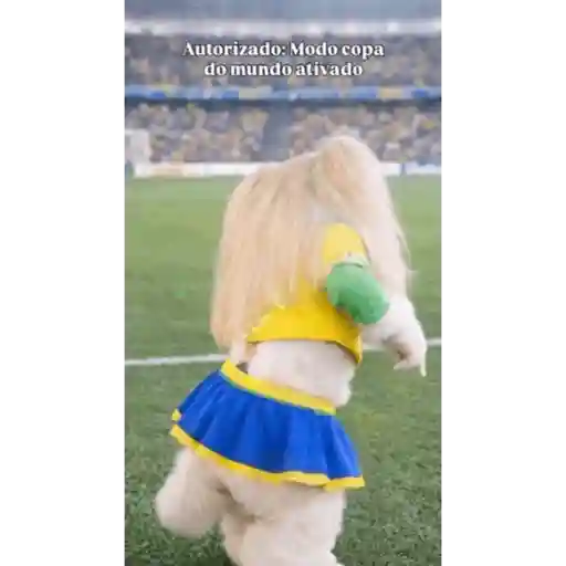 Ginástica  11