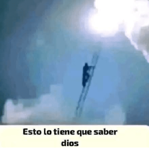 Jaja 4