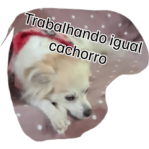 Variadas 5