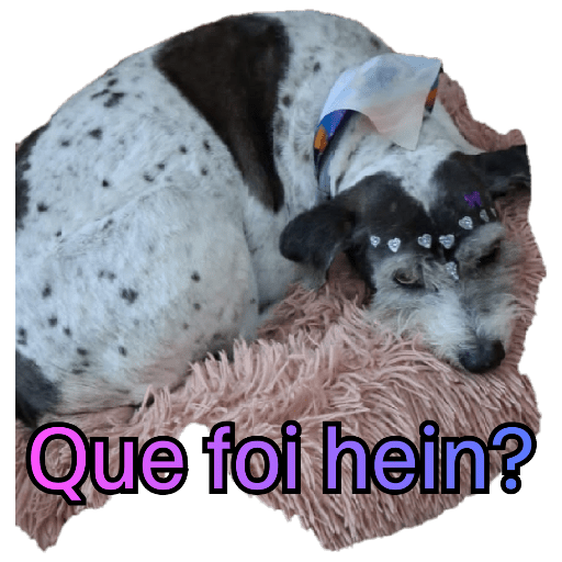 Variadas 4