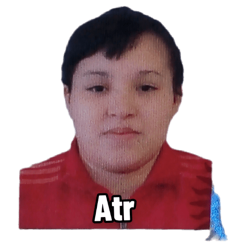 Sticker Image
