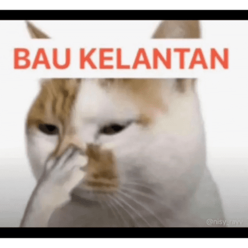 My stickers 24