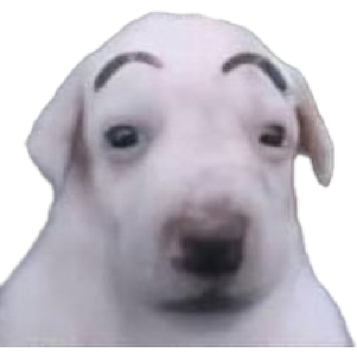 Memes 20 3