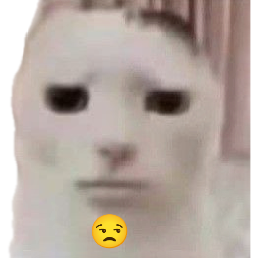 Memes 20 12