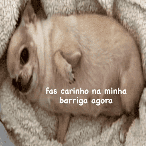 Bichinhos 5 11
