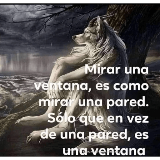 Auuuuu 8