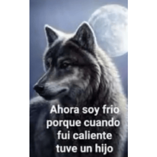 Auuuuu 10