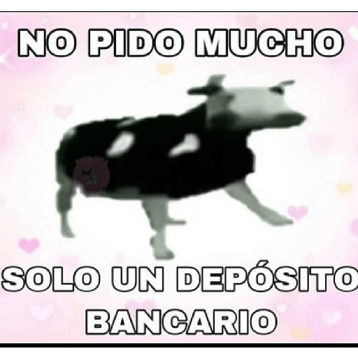 Auuuuu 13