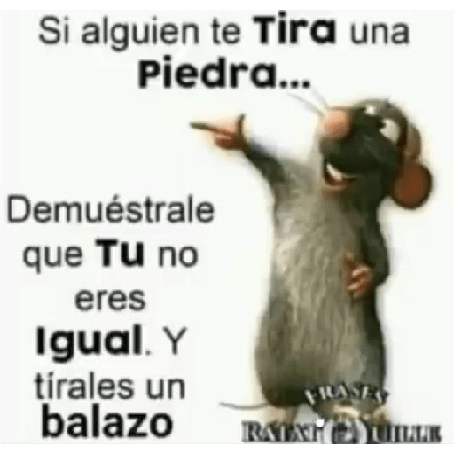 Auuuuu 16
