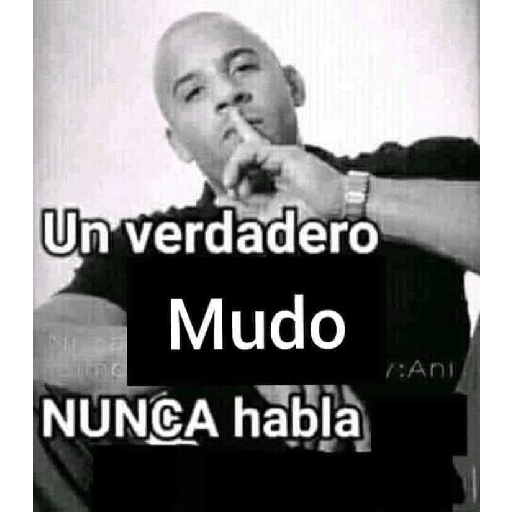 Auuuuu 17