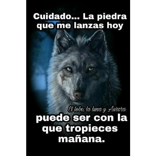 Auuuuu 19